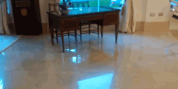 Luxurious Continental Hotel