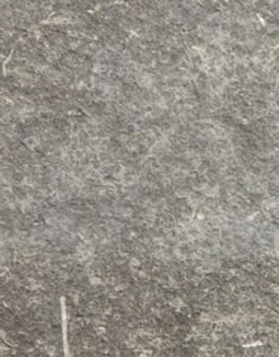 grey millenium
